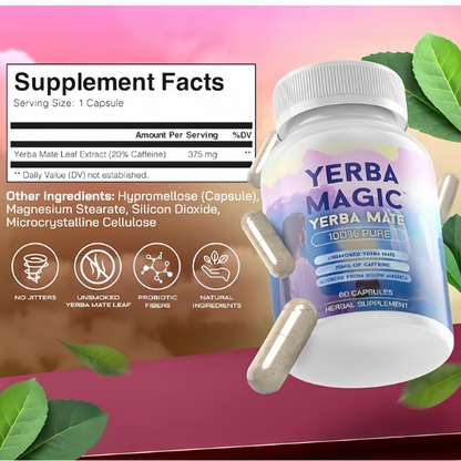 Yerba Mate Capsules – Clean Energy & Gut Support – Natural Caffeine – 60 Count